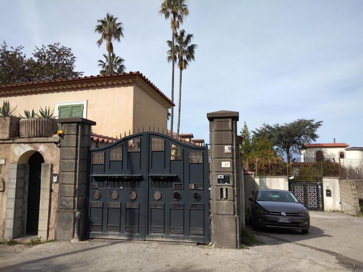 Villa Pellicano -Il Nido 卡斯特拉玛雷帝斯达比亚 外观 照片